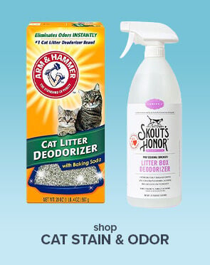 Cat Stain & Odor